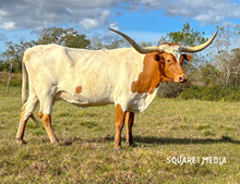 FHR ROWDY COWGIRL